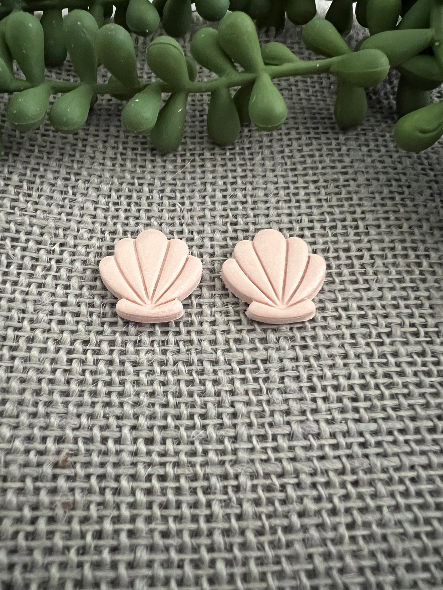 Seashell Studs
